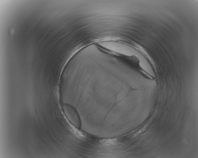 X0000066530810200604141838