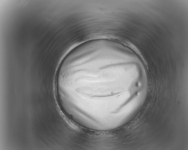 X0000066530811200604141838