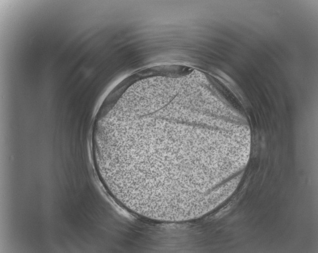 X0000066530812200604141838