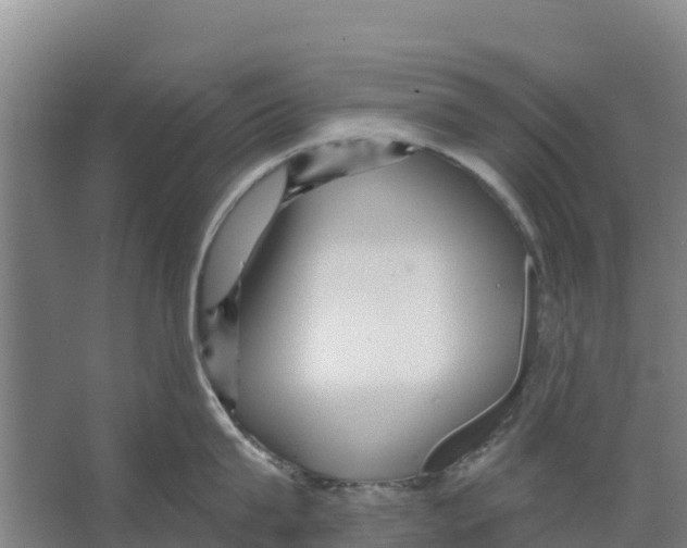 X0000066530815200604141838