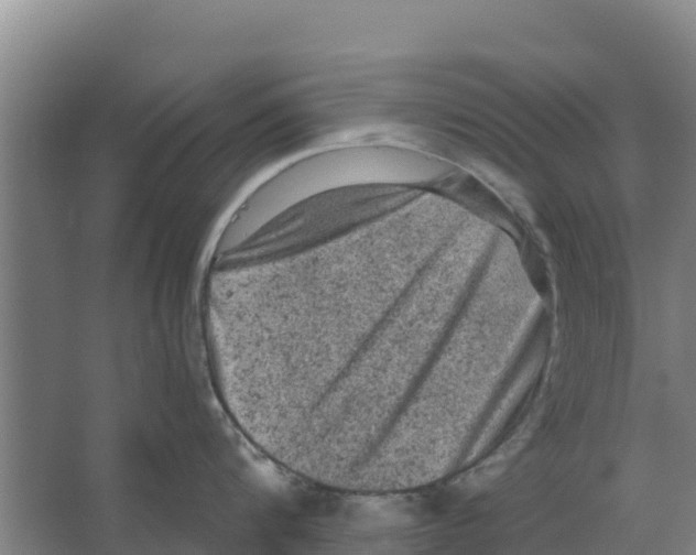 X0000066530816200604141838