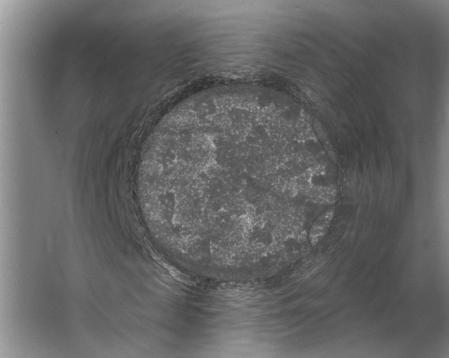 X0000066530817200604141837