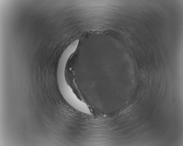 X0000066530818200604141837