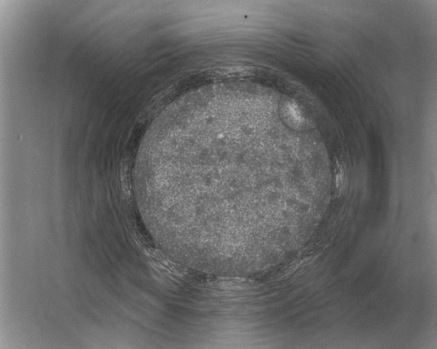 X0000066530819200604141837