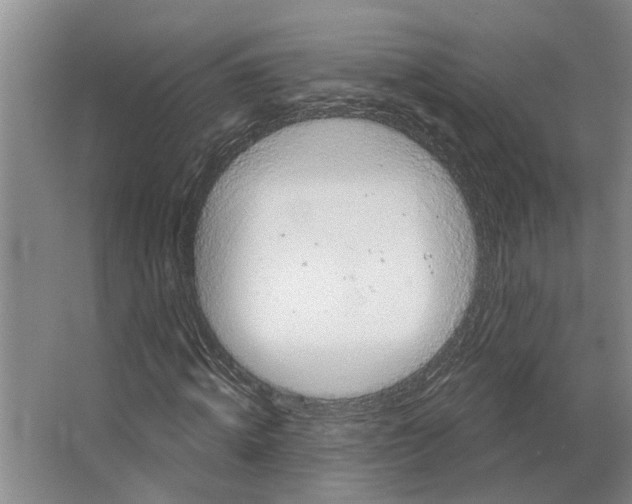 X0000066530820200604141837