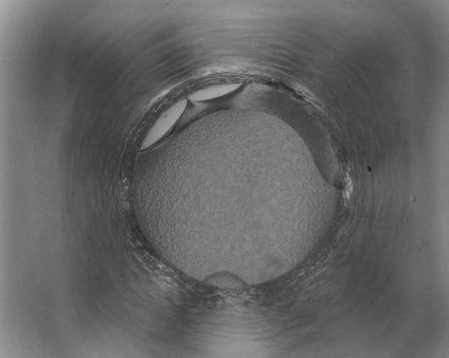 X0000066530822200604141837