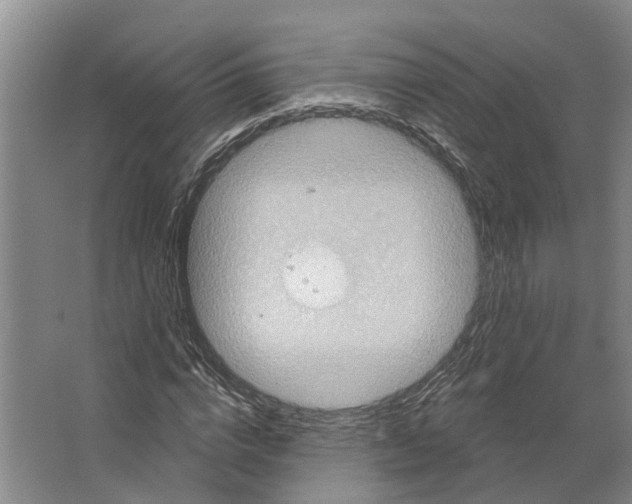 X0000066530824200604141837