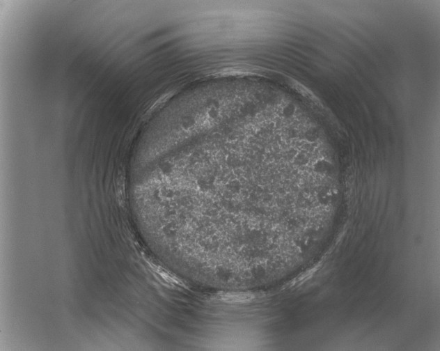 X0000066530825200604141837