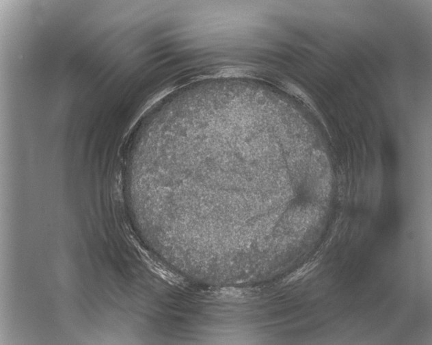 X0000066530827200604141837