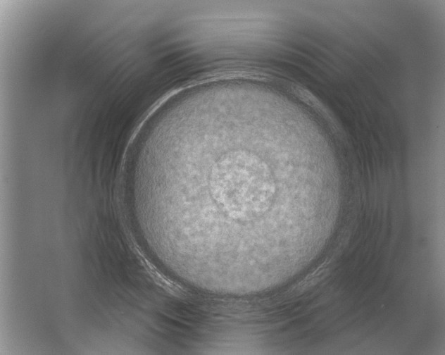 X0000066530828200604141837