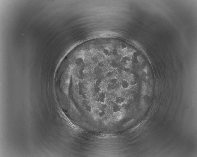 X0000066530835200604141837