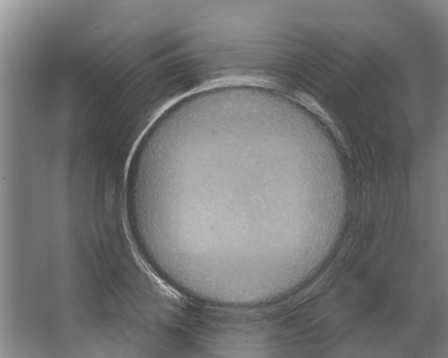 X0000066530836200604141837