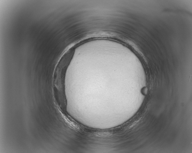 X0000066530837200604141837