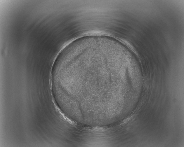 X0000066530839200604141837