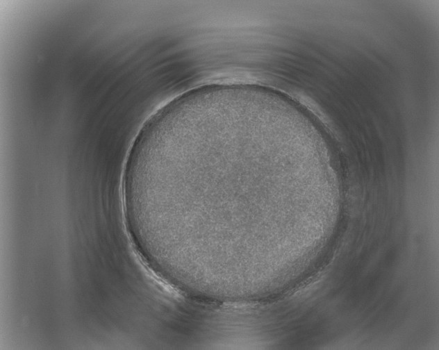 X0000066530840200604141837