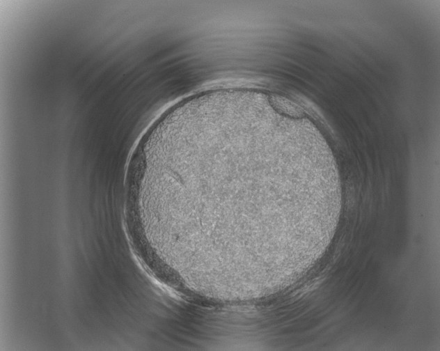 X0000066530844200604141838