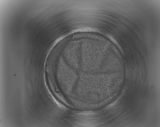 X0000066530845200604141838