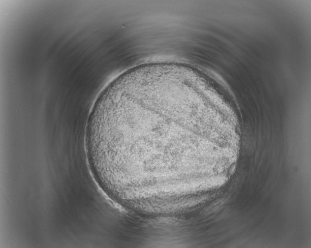 X0000066530847200604141838