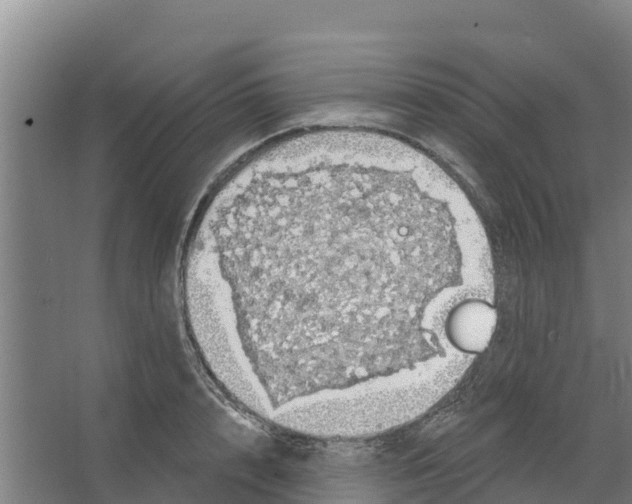 X0000066530848200604141838