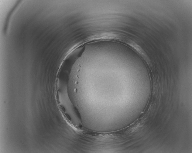 X0000066530850200604141838