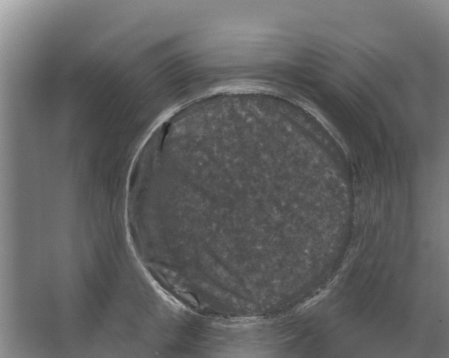 X0000066530853200604141838