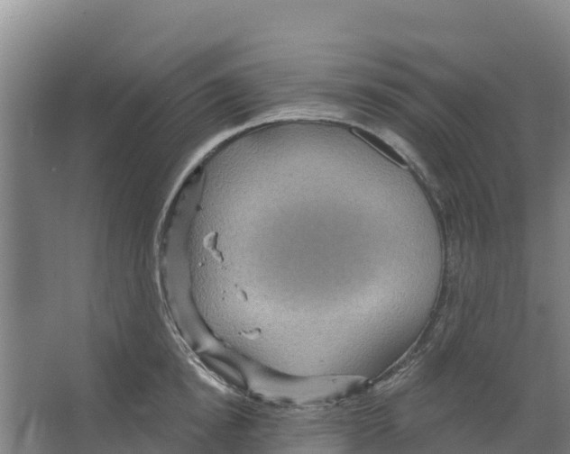 X0000066530854200604141838