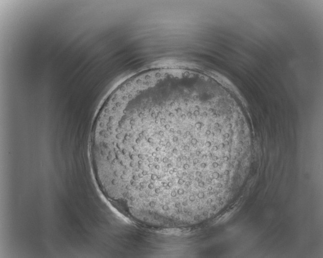 X0000066530855200604141838