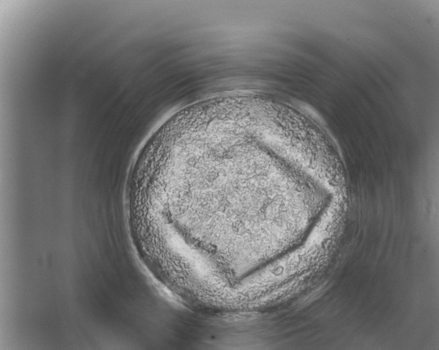 X0000066530859200604141838