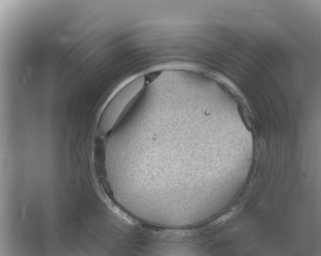 X0000066530860200604141838