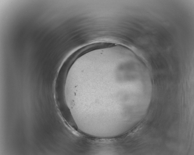 X0000066530862200604141838