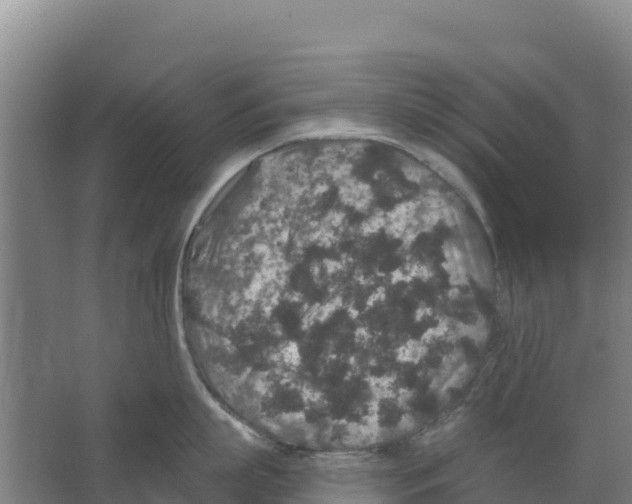 X0000066530863200604141838