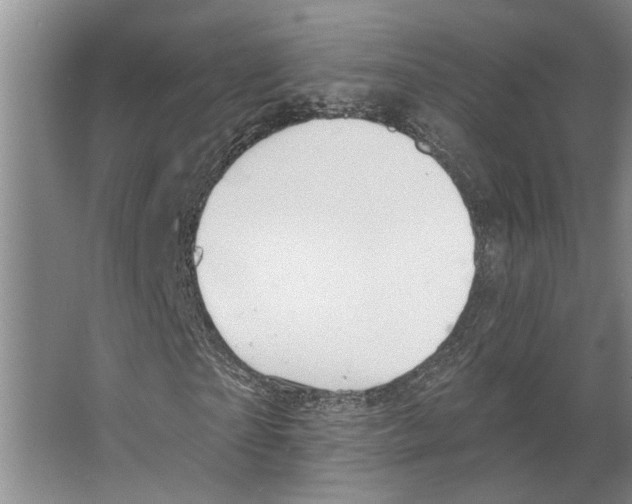 X0000066530865200604141837