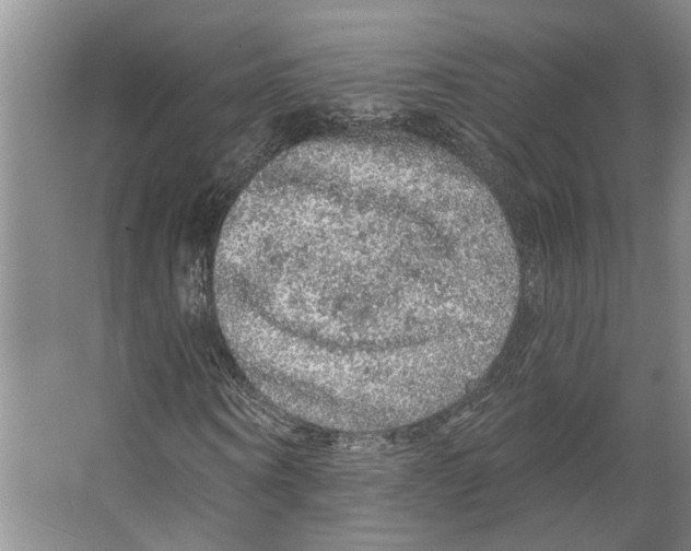 X0000066530866200604141837