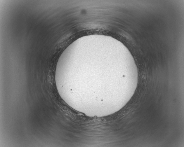 X0000066530869200604141837