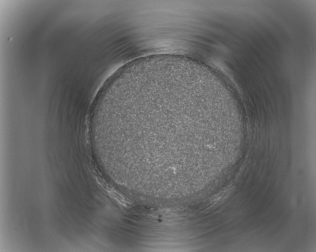 X0000066530875200604141837