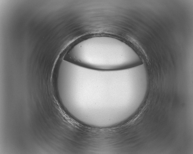 X0000066530876200604141837