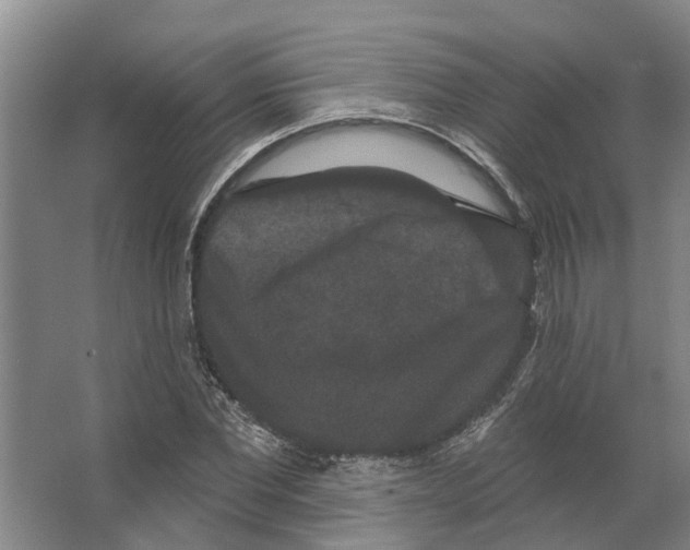 X0000066530877200604141837