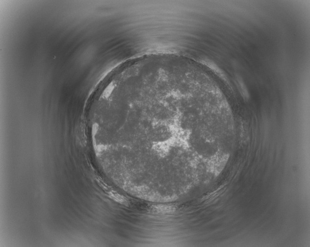 X0000066530878200604141837