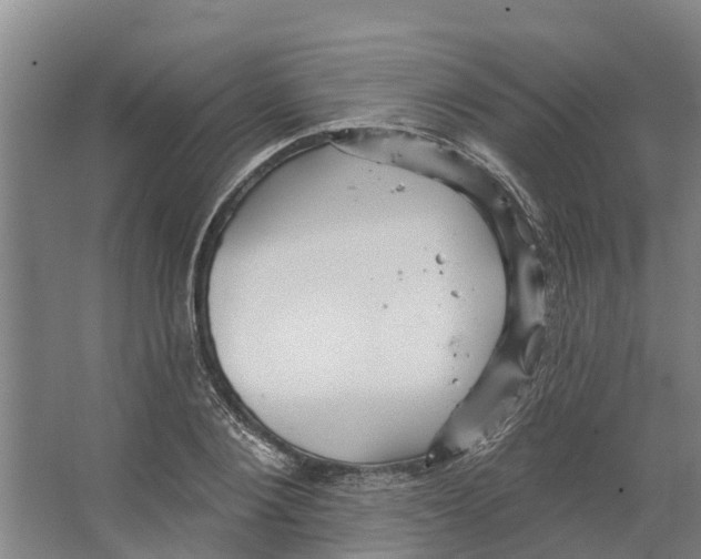 X0000066530884200604141837