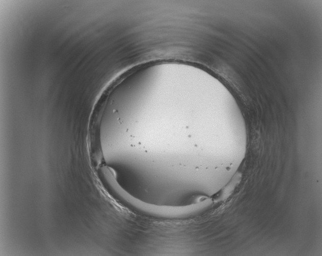 X0000066530888200604141837