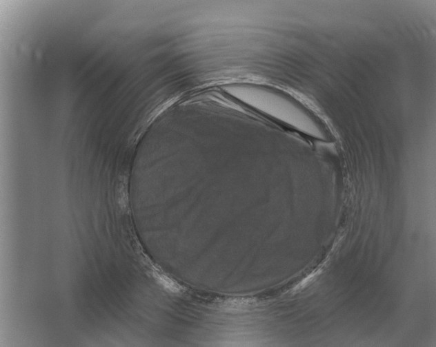 X0000066530889200604141837