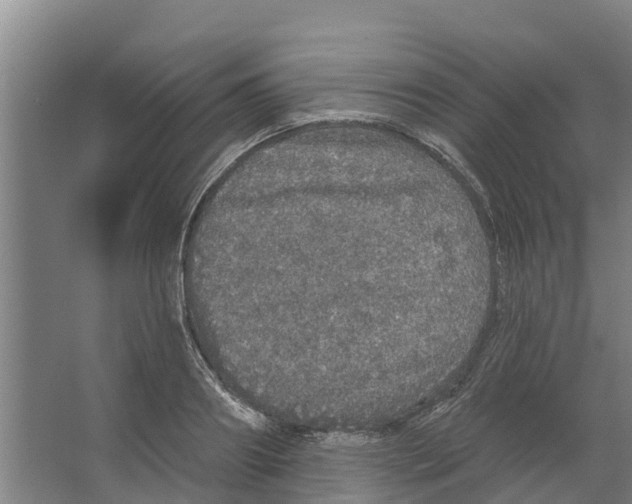 X0000066530890200604141837