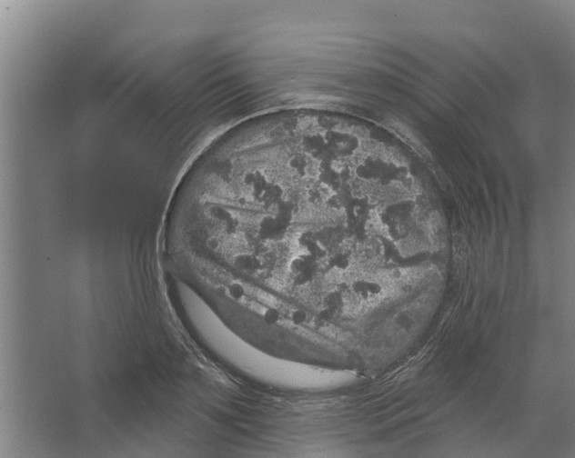 X0000066530891200604141837