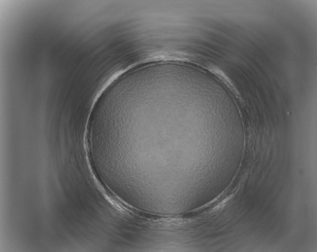 X0000066530893200604141837