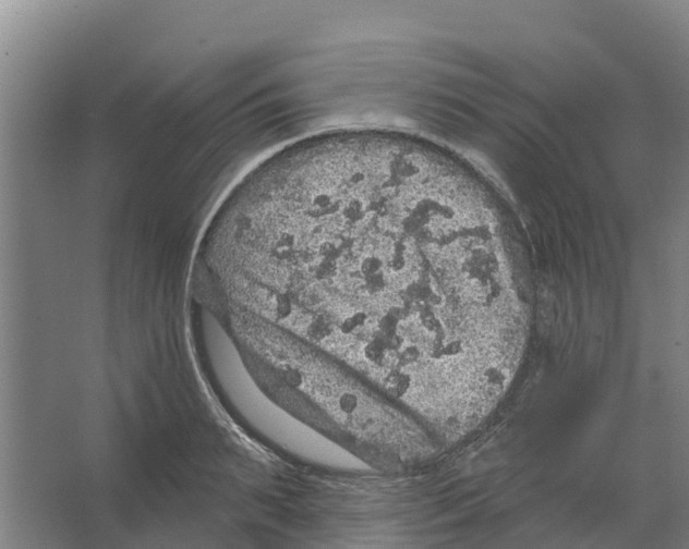 X0000066530895200604141837