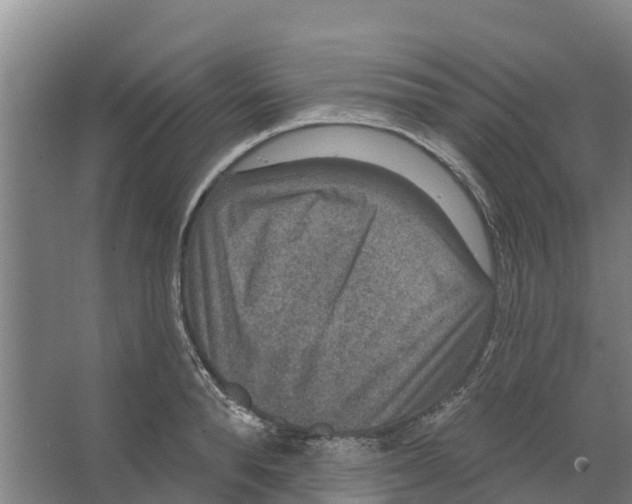 X0000066530896200604141837