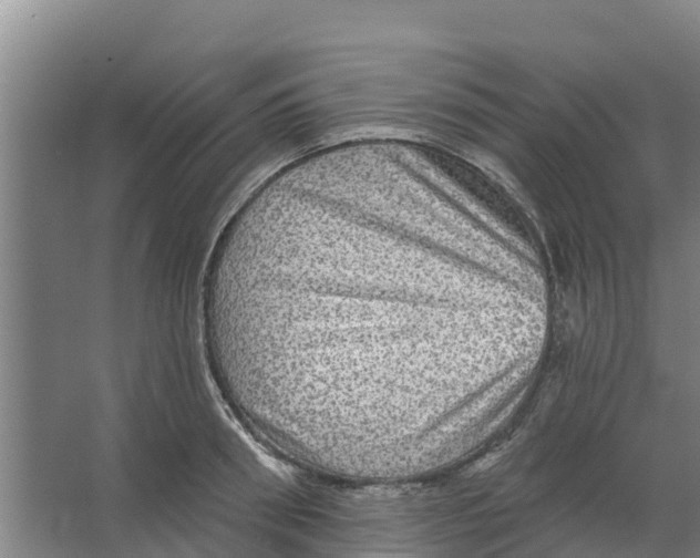 X0000066530898200604141837