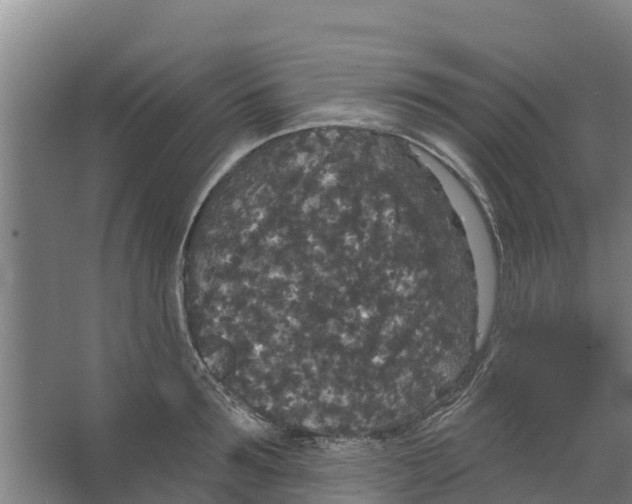 X0000066530899200604141836