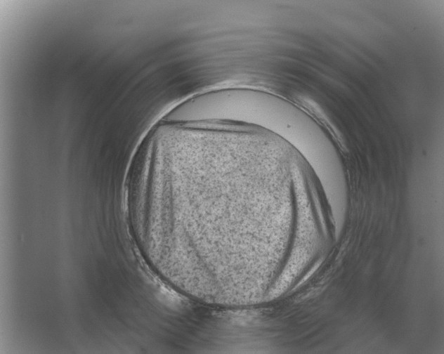 X0000066530900200604141836