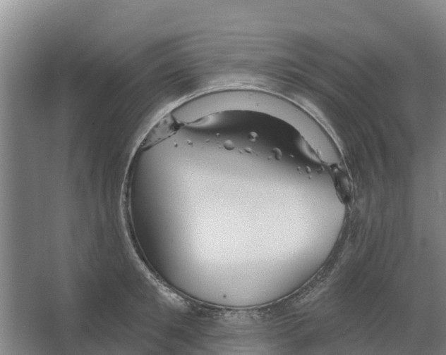 X0000066530901200604141836